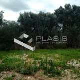 (For Sale) Land Plot || East Attica/Vari-Varkiza - 425 Sq.m, 360.000€ Athens 8103889 thumb0