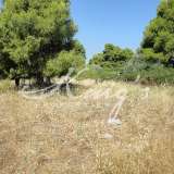  (For Sale) Land Plot || East Attica/Stamata - 1.000Sq.m, 350.000€ Athens 8203899 thumb0