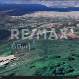  For Sale - (€ 0 / m2), Agricultural 6354 m2 Portaria 8103945 thumb2