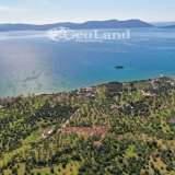 For Sale - (€ 0 / m2), Agricultural 4025 m2 Ermioni 7830165 thumb7