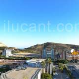   Alicante 130217 thumb4