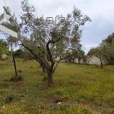 (For Sale) Land Plot || Piraias/Salamina - 940 Sq.m, 50.000€ Salamís 7630252 thumb0