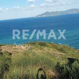  For Sale - (€ 0 / m2), Agricultural 5439 m2 Skiathos 7430254 thumb3