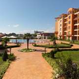  Furnished studio with POOL view in Diamond Residence, Sunny Beach Sunny Beach 7830303 thumb2