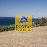  (For Sale) Land Plot || East Attica/Koropi - 4.000 Sq.m, 2.300.000€ Athens 7730357 thumb3