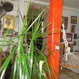   Pazardjik 3530384 thumb37