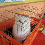   Pazardjik 3530384 thumb16