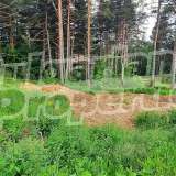  Regulated plot of land near the main road to Samokov and the village of Zheleznitsa Yarema vacation area 7830442 thumb3