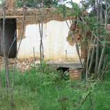  Old fallen house with spacious garden in picturesque rural area Yambol city 3530479 thumb9