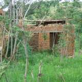  Old fallen house with spacious garden in picturesque rural area Yambol city 3530479 thumb10