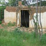  Old fallen house with spacious garden in picturesque rural area Yambol city 3530479 thumb11