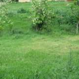  Old fallen house with spacious garden in picturesque rural area Yambol city 3530479 thumb5