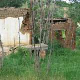  Old fallen house with spacious garden in picturesque rural area Yambol city 3530479 thumb12