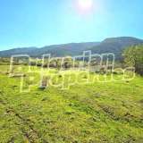  Land for investment near Resilovo Monastery Sapareva Banya city 7730048 thumb1