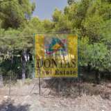  (For Sale) Land Plot || East Attica/Dionysos - 800 Sq.m, 350.000€ Dionysos 7530695 thumb1