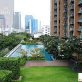  Villa Asoke | Large Deluxe Duplex Condominium for Rent in Asok... Bangkok 5031295 thumb8