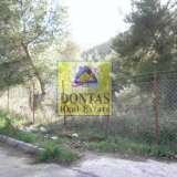  (For Sale) Land Plot || East Attica/Dionysos - 830 Sq.m, 330.000€ Dionysos 8131036 thumb0