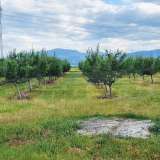  Сельскохозяйственная земля вблизи г. Пловдив с. Катуница 6031394 thumb14