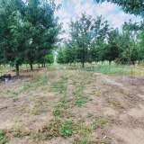  Large orchard with drip irrigation near Plovdiv Katunitsa village 6031394 thumb21