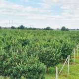  Сельскохозяйственная земля вблизи г. Пловдив с. Катуница 6031394 thumb11