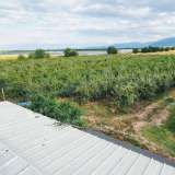  Large orchard with drip irrigation near Plovdiv Katunitsa village 6031394 thumb9