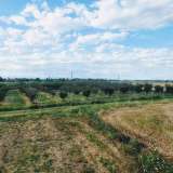  Large orchard with drip irrigation near Plovdiv Katunitsa village 6031394 thumb13
