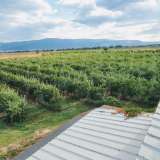  Large orchard with drip irrigation near Plovdiv Katunitsa village 6031394 thumb5