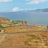  For Sale - (€ 0 / m2), Agricultural 6000 m2 Ermioni 8131485 thumb9
