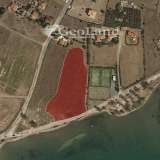  For Sale - (€ 0 / m2), Agricultural 6000 m2 Ermioni 8131485 thumb1
