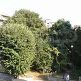   Varna city 4431493 thumb8