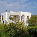  (For Sale) Residential Detached house || Piraias/Aigina - 100 Sq.m, 2 Bedrooms, 210.000€ Piraeus 7631665 thumb0