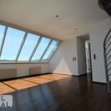  Luxury penthouse for the highest demands! Vienna 6331744 thumb12