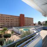  Apartment in Torrevieja Torrevieja 4031777 thumb0