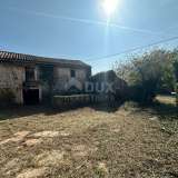  ISTRIA, ŽMINJ - Estate with two houses and two buildings on a spacious garden Zminj 8131822 thumb15