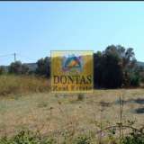  (For Sale) Land Plot || Chios/Chios - 4.208 Sq.m, 390.000€ Chios 7731853 thumb9