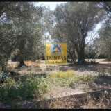  (For Sale) Land Plot || Chios/Chios - 4.208 Sq.m, 390.000€ Chios 7731853 thumb2