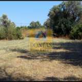  (For Sale) Land Plot || Chios/Chios - 4.208 Sq.m, 390.000€ Chios 7731853 thumb6