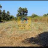  (For Sale) Land Plot || Chios/Chios - 4.208 Sq.m, 390.000€ Chios 7731853 thumb4
