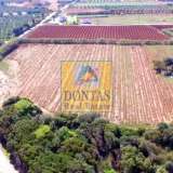  (For Sale) Land Plot || Messinia/Gargalianoi - 21.000 Sq.m, 3.000.000€ Gargalianoi 7731862 thumb7