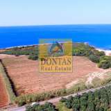  (For Sale) Land Plot || Messinia/Gargalianoi - 21.000 Sq.m, 3.000.000€ Gargalianoi 7731862 thumb6