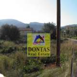  (For Sale) Land Plot || Korinthia/Solygeia - 1.000 Sq.m, 200.000€ Soligeia 8031879 thumb0
