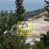  (For Sale) Land Plot || Rethymno/Geropotamos - 38.000 Sq.m, 3.000.000€ Geropotamos 8031881 thumb2