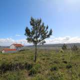  Hillside Houses Nazaré 5931883 thumb13