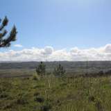 Hillside Houses Nazaré 5931883 thumb12