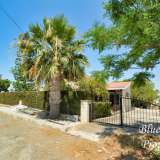  Just reduced from €649.950.00! Custom designed 4 bedroom bungalow with huge plot in Paralimni! This huge 4 bedroom bungalow has absolutely loads of Character!!! As you enter through the main doors, the first thing you notice is the sweeping stair ca Paralimni 5232518 thumb25