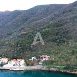  Non-urbanized plot of 19,000m2 on the first line of the sea, Stoliv, municipality of Kotor Stoliv 8132966 thumb6