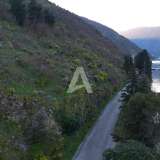  Non-urbanized plot of 19,000m2 on the first line of the sea, Stoliv, municipality of Kotor Stoliv 8132966 thumb10