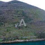  Non-urbanized plot of 19,000m2 on the first line of the sea, Stoliv, municipality of Kotor Stoliv 8132966 thumb3