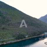  Non-urbanized plot of 19,000m2 on the first line of the sea, Stoliv, municipality of Kotor Stoliv 8132966 thumb5