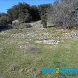  For sale a stone house of 74 sq.m. built in 2004 in the prefecture of Ioannina and specifically in the settlement of Molyvadia, on a plot of 2,600 sq.m. with the possibility of further utilization of spaceAvailable furnishedIt is located 16 km from the ci Serviana 7533264 thumb14